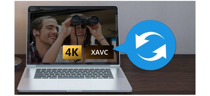 Converter XAVC