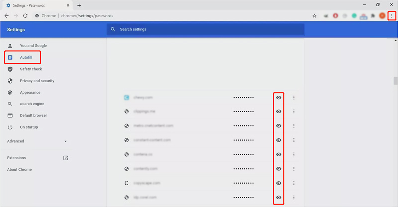 Ver senhas de preenchimento automático no computador Chrome