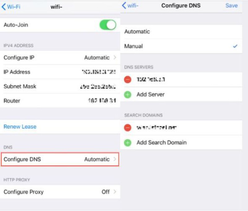 Selecione DNS manual