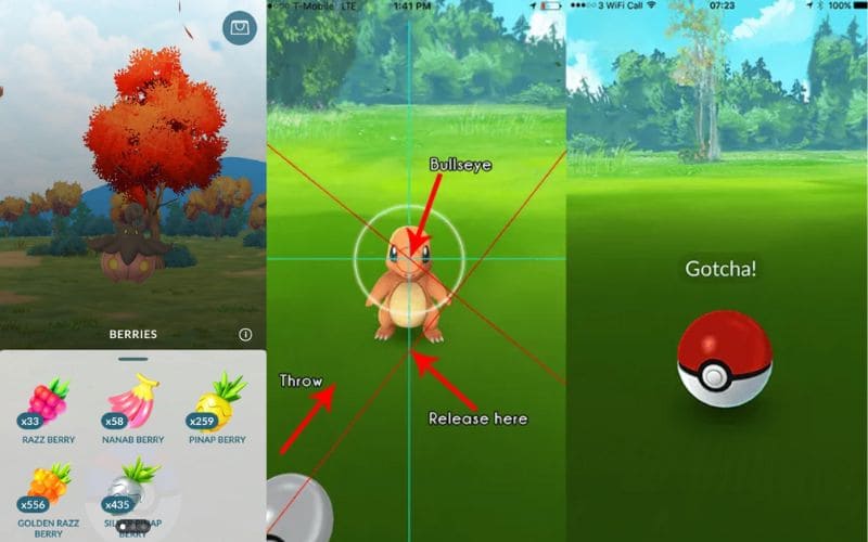 Pegue o Pokémon