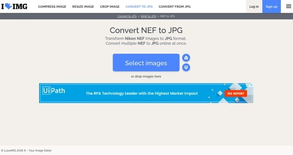 Converta Nef para Jpg Online Gratuitamente