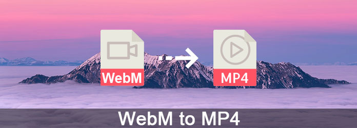 WebM para MP4