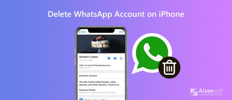Excluir conta do WhatsApp no ​​iPhone