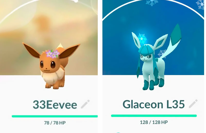 Eevee e Glaceon