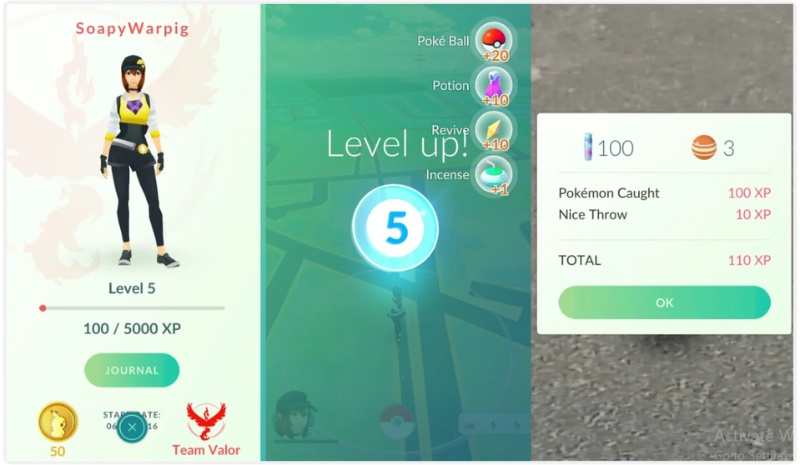 Aprimore o Treinador