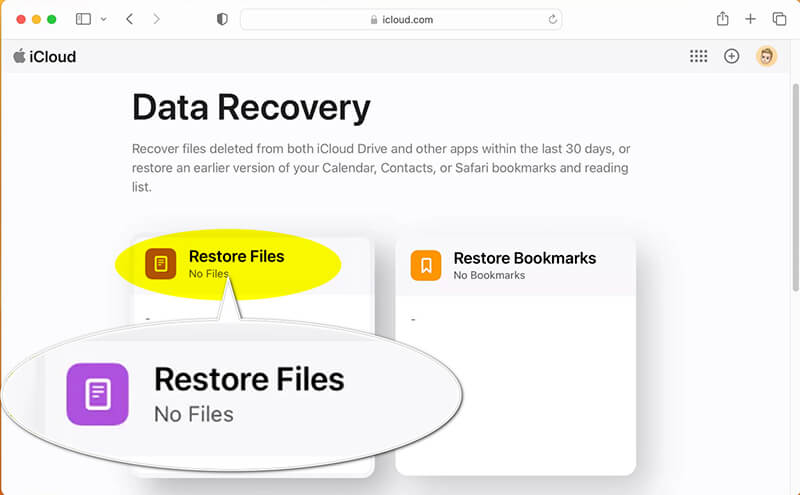 restore-iCloud Files