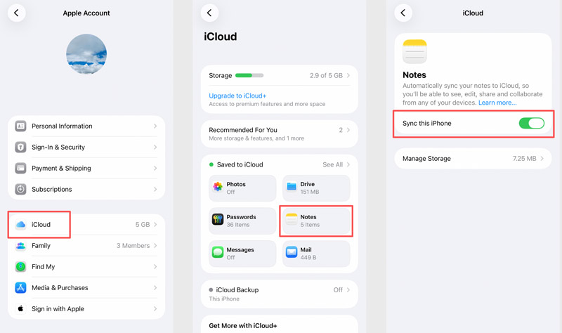 Ative a sincronização do iCloud Notes neste iPhone.