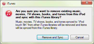 Sincronize com sua biblioteca do iTunes