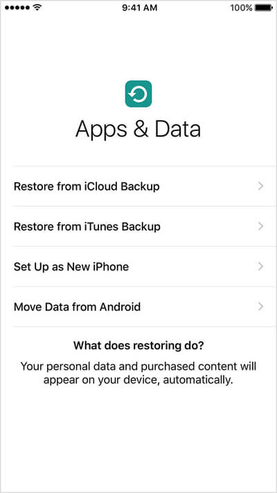 tela de dados de aplicativos do iPhone