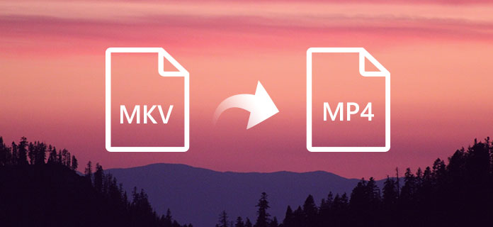 MKV para MP4