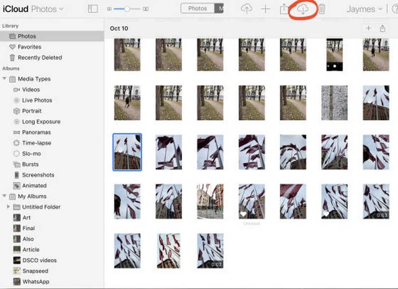 Selecione e baixe fotos no iCloud Web.