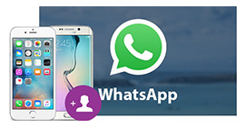 Adicionar contatos ao WhatsApp