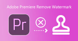 Adobe Premiere Remover marcas d'água