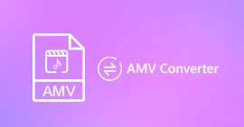Conversor AMV