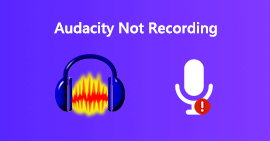 Audacity não está gravando