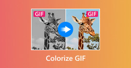 Colorir GIF