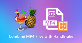 Combinar arquivos MP4 HandBrake