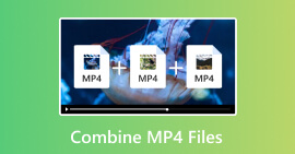 Combinar arquivos MP4