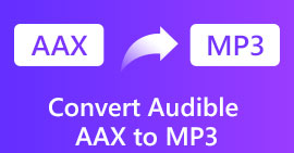 Converta audiolivros AAX/AA da Audible para MP3