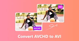 Converta AVCHD para AVI