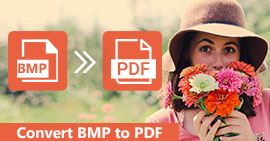 Converter BMP para PDF