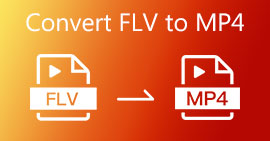 Converta FLV para MP4 gratuitamente