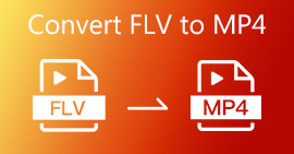 FLV para MP4