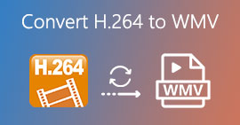 Converter H.264 para WMV