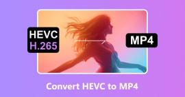 Converter HEVC para MP4