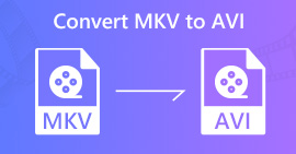 Converter MKV para AVI