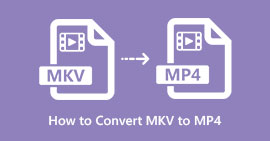 Melhor maneira de converter MKV para MP4