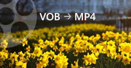 Como converter VOB para MP4 no Win/Mac