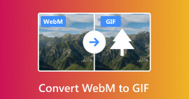 Converter WebM para GIF
