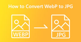 Converter WebP para JPG PNG