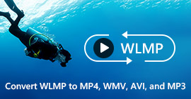 Como converter WLMP