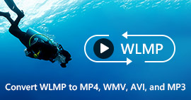 WLMP para MP4