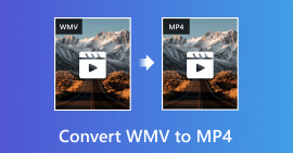 Converter WMV para MP4