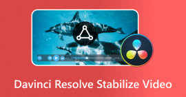 Davinci Resolve Stabilize Vídeo