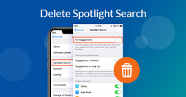 Excluir Spotlight Pesquisar iPhone iPad