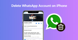 Excluir conta do WhatsApp no ​​iPhone