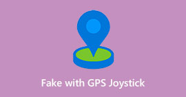 Falso com GPS Joystick
