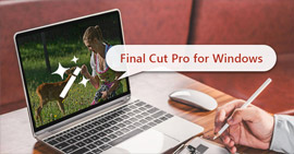 Widnows Final Cut Pro