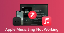 Corrigir o Apple Music Sing que não funciona