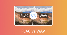FLAC x WAV