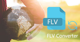 Conversor FLV Online