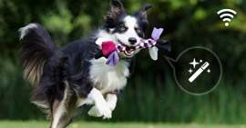 Editor de Vídeo Online Grátis