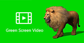 Vídeo de tela verde
