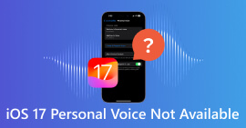 Voz pessoal do iOS 17 não disponível