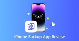 Análise do aplicativo de backup do iPhone