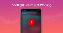 A pesquisa do Spotlight do iPhone não está funcionando